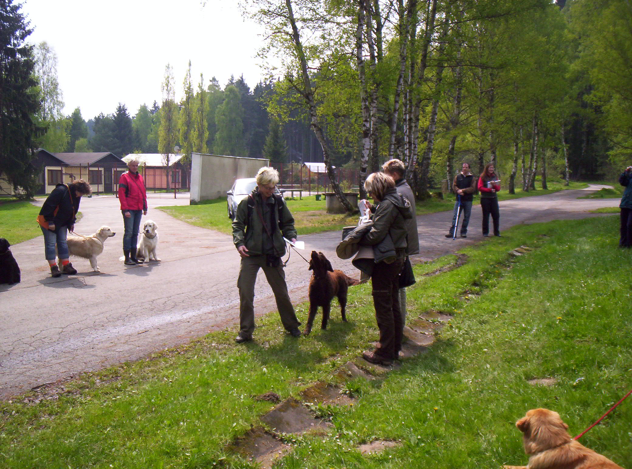 vánoce ratmírov víden 080